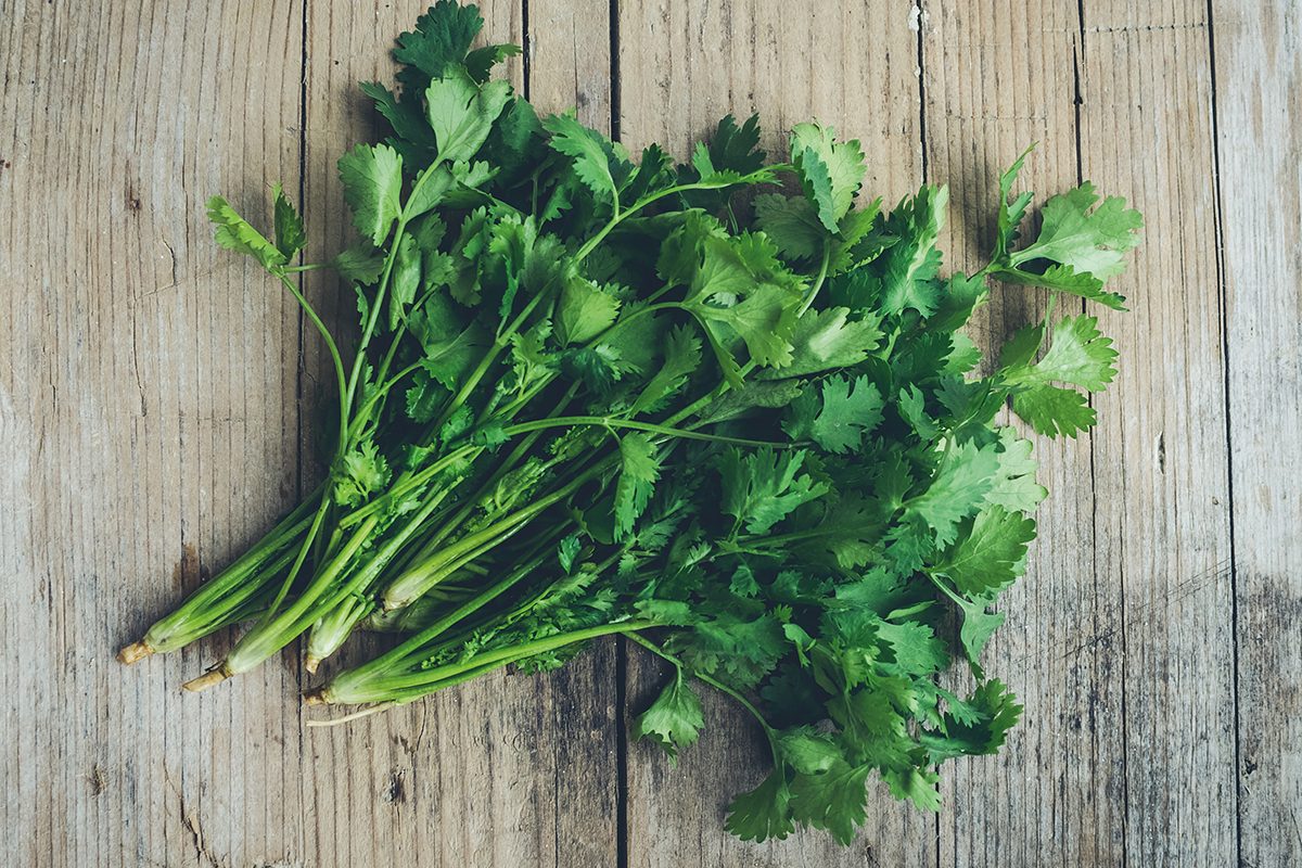 How to Freeze Cilantro