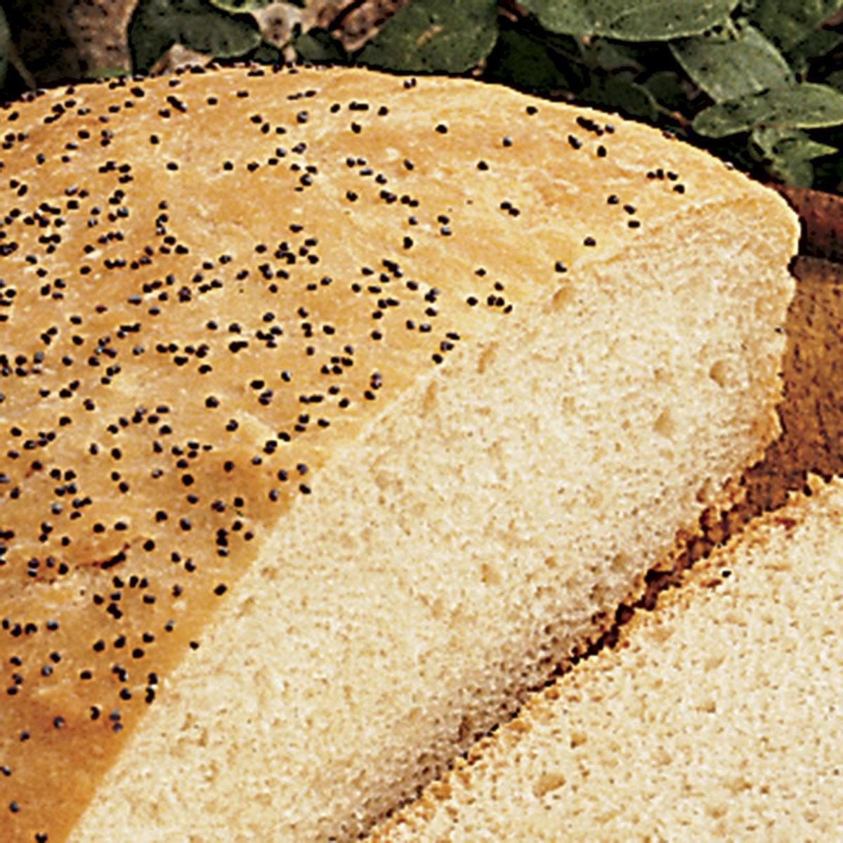 Peasant Bread