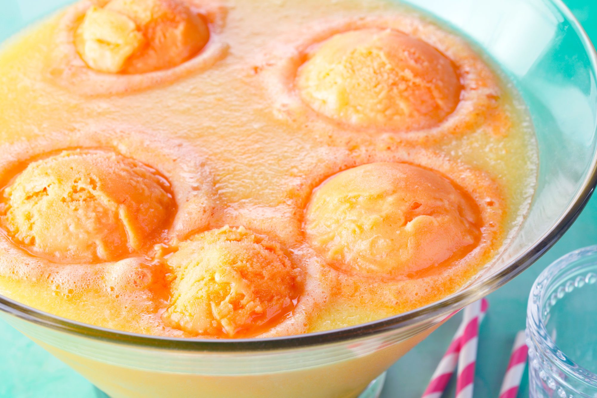 Orange Party Punch Tohcom23 22837 Dr 08 24 8b 1