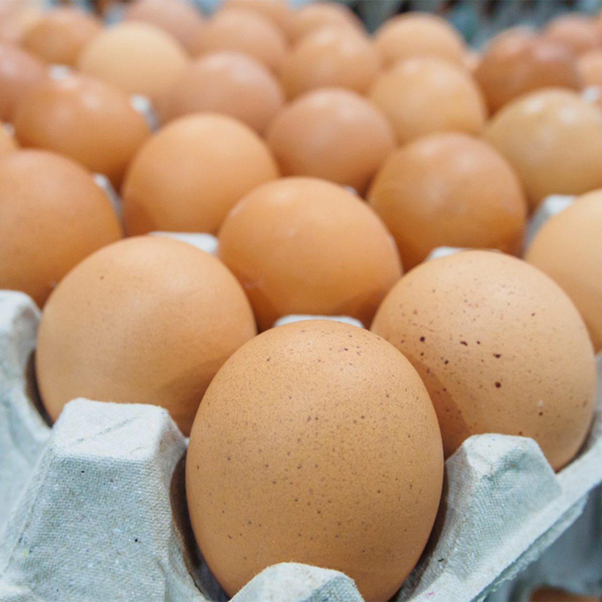 large carton of eggs