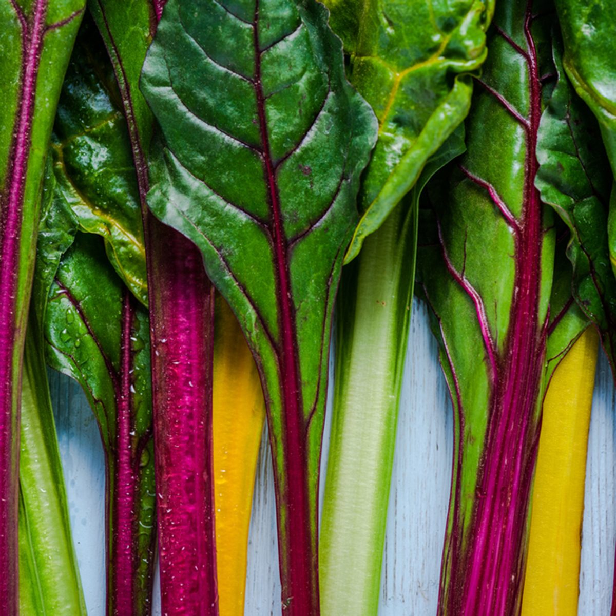 swiss rainbow chard