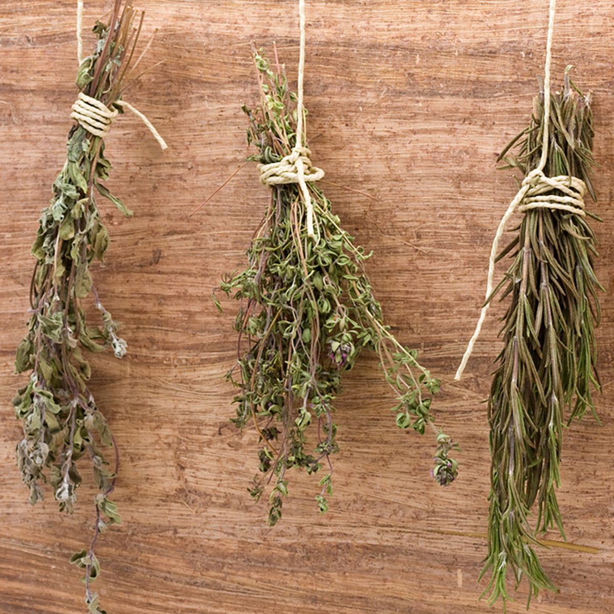 Fresh dried herb bundles of different herbs hanging on the wall