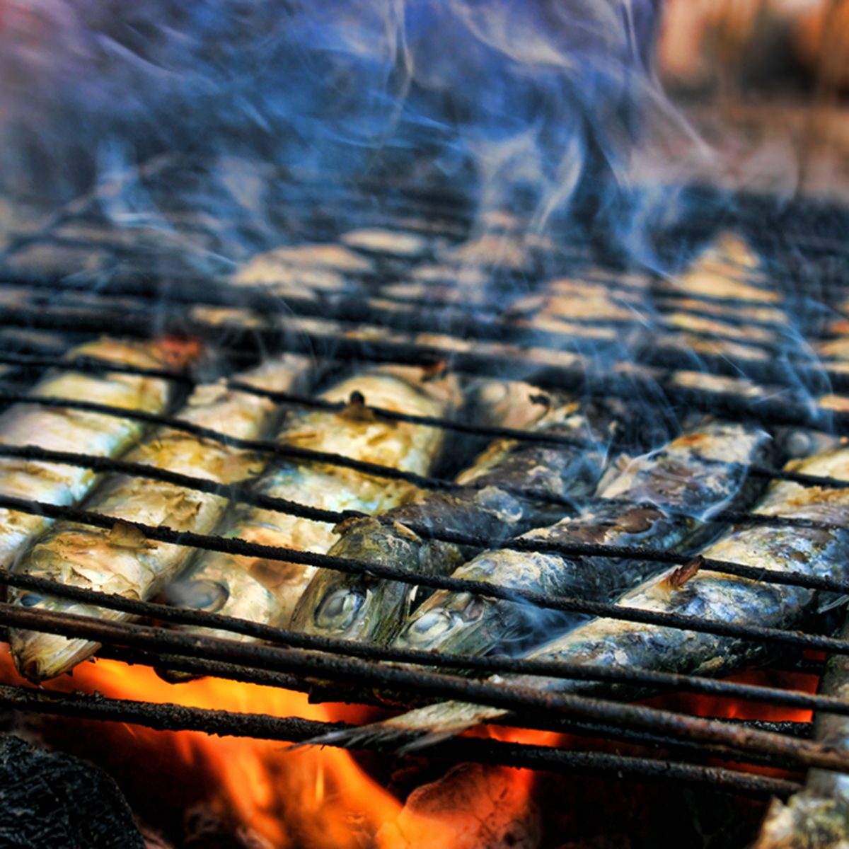 Grilled Sardine