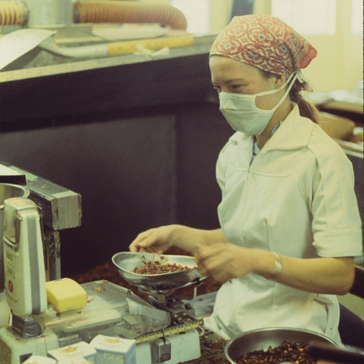 Woman weighing tea at Celestial Seasonings