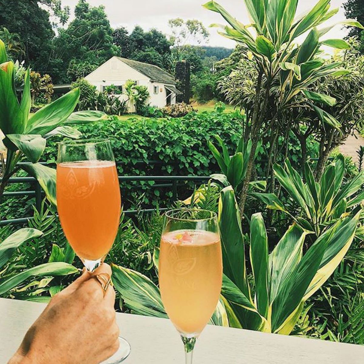 Two glasses of wine at MauiWine