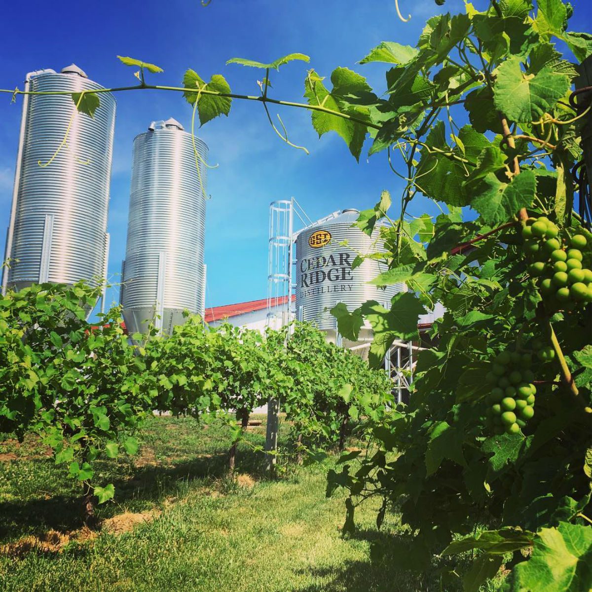 Cedar Ridge Winery & Distillery