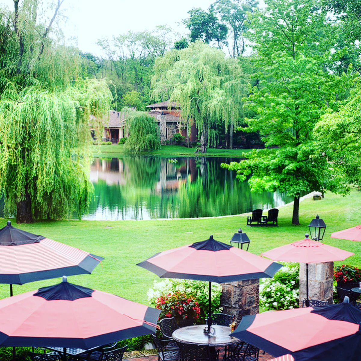 Gervasi Vineyard