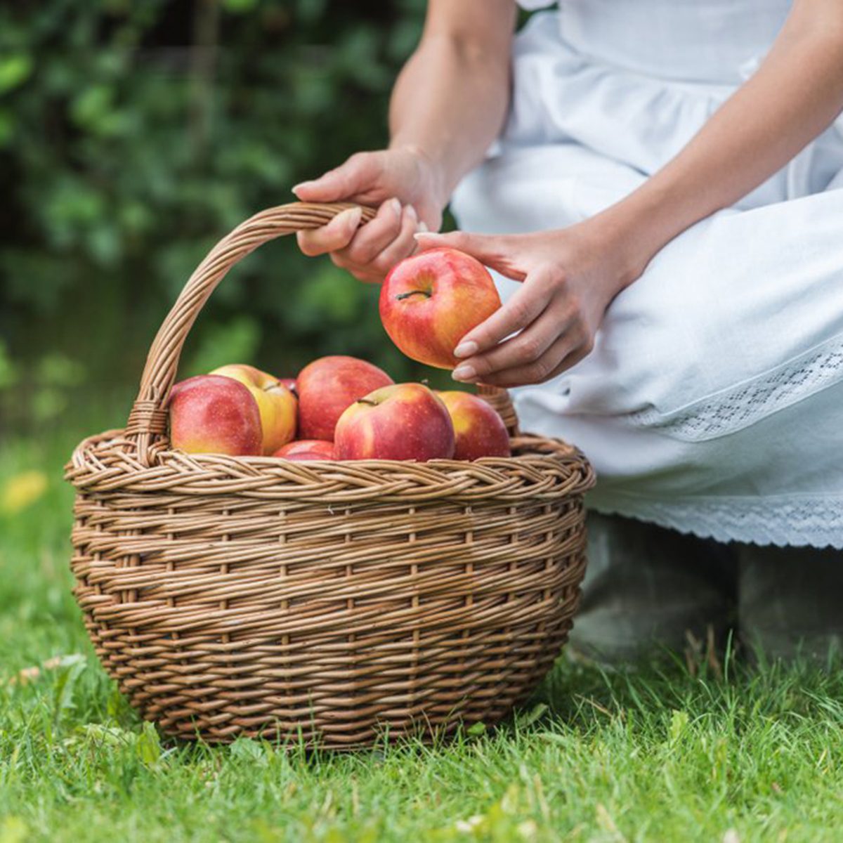 Child leaning down to put an apple in a basket