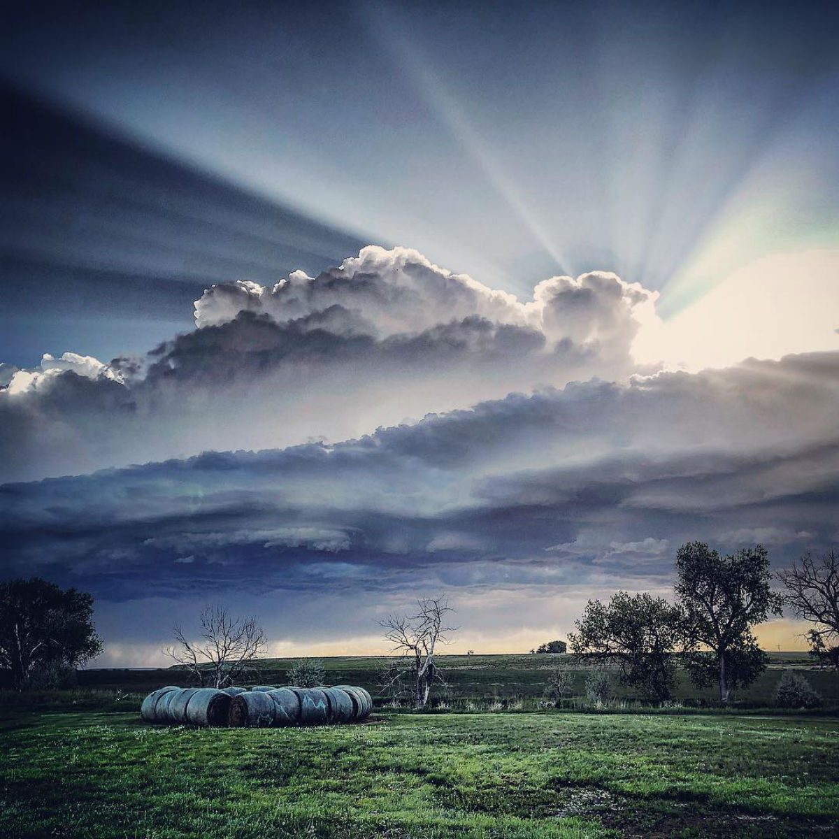 Table Mountain Vineyards