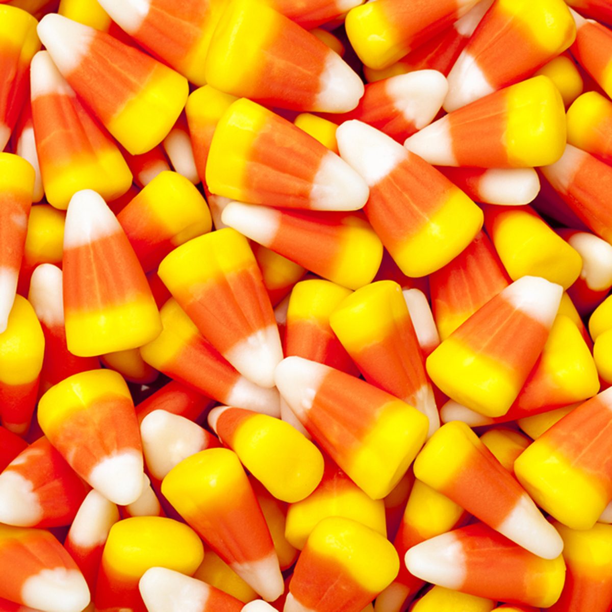 Bright colored candy corn for halloween.