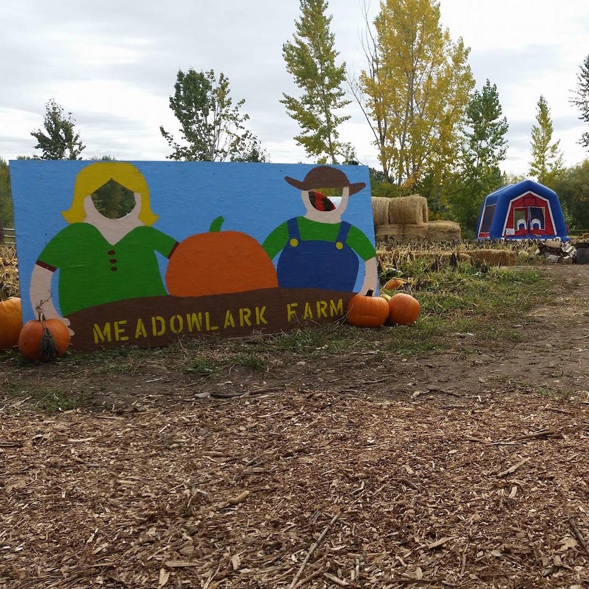 Fun Farm Pumpkin Patch