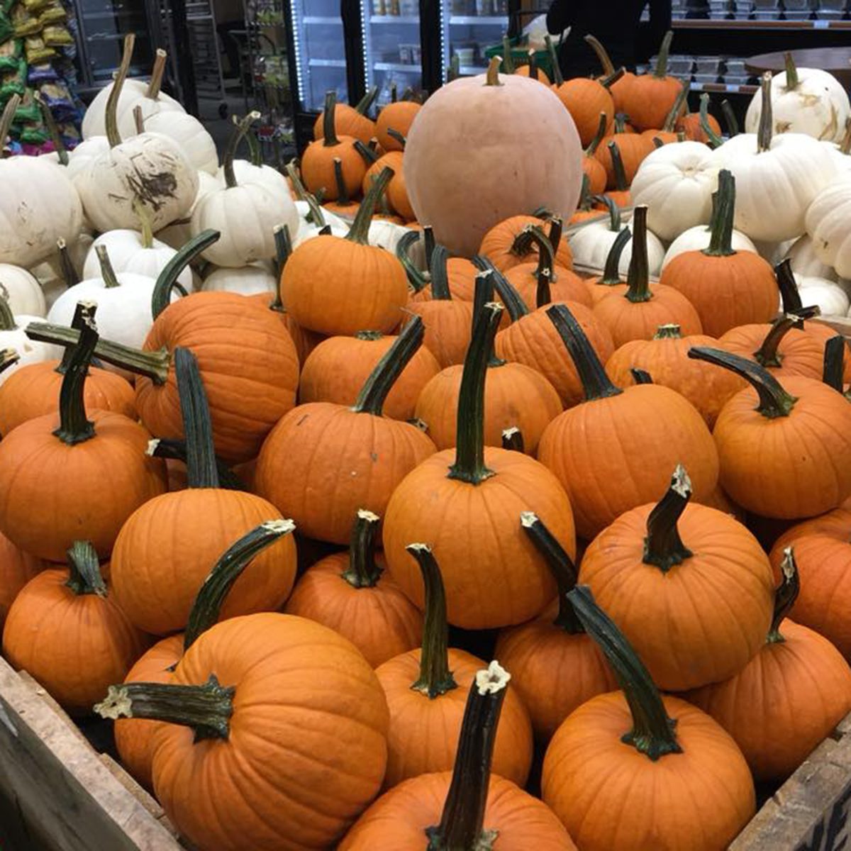 Boone Hall Plantation & Gardens