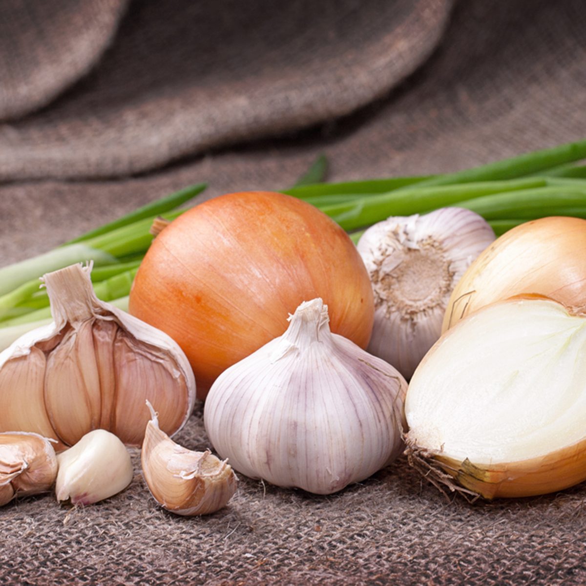 Garlic and onion
