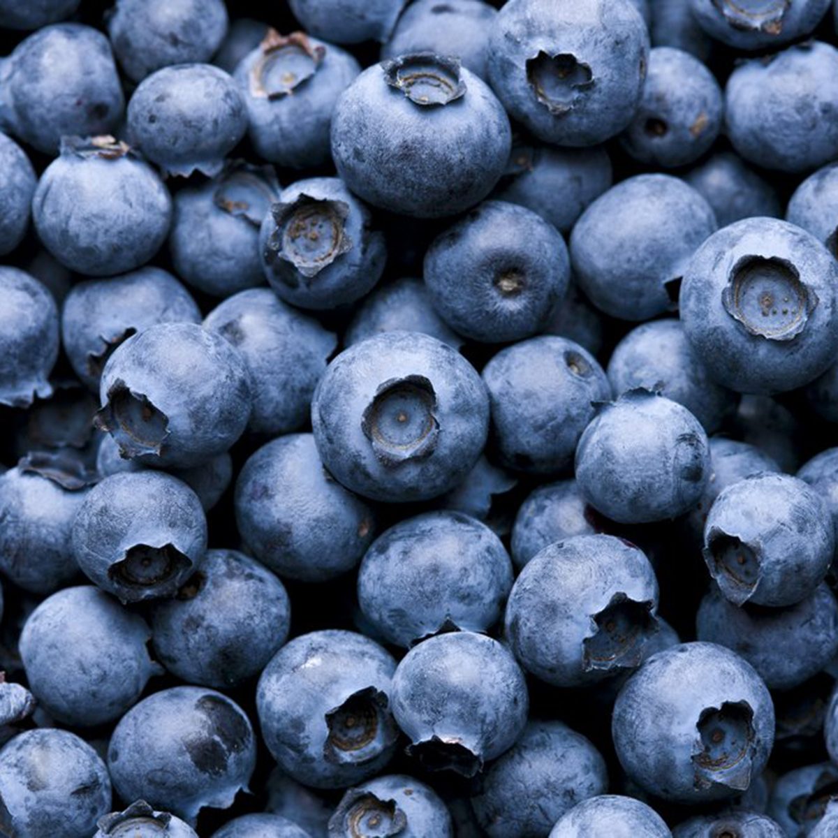 Blueberries