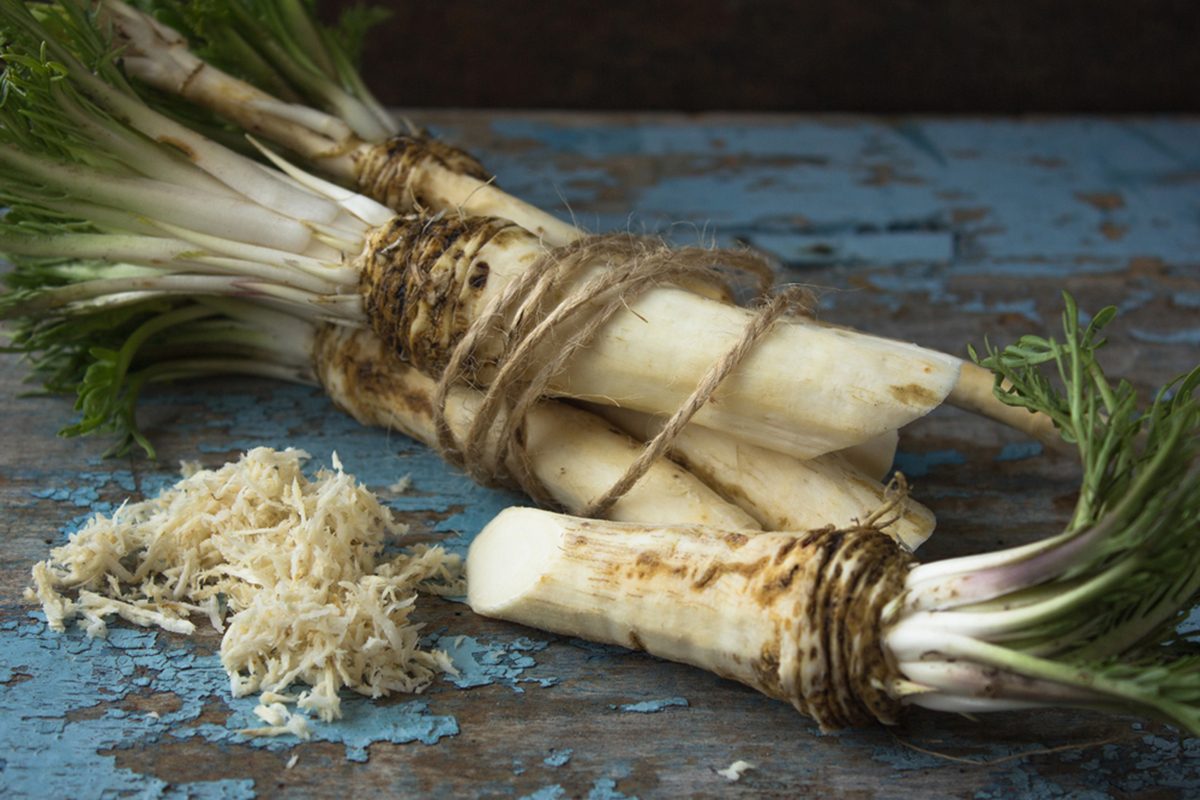 What Is Horseradish?