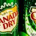 Ginger Ale Might NOT Be the Cure for an Upset Stomach