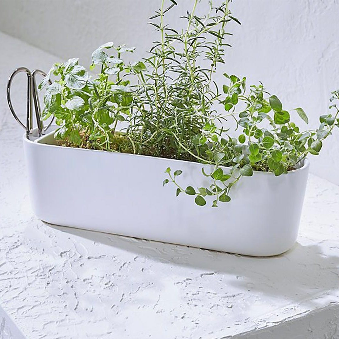 Herb Planter with Scissors