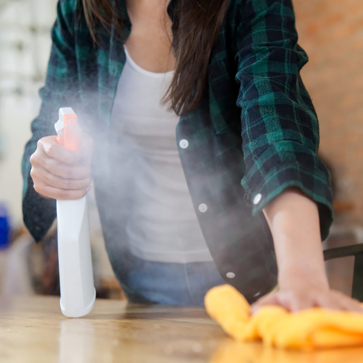 Close up view of woman cleaning a house