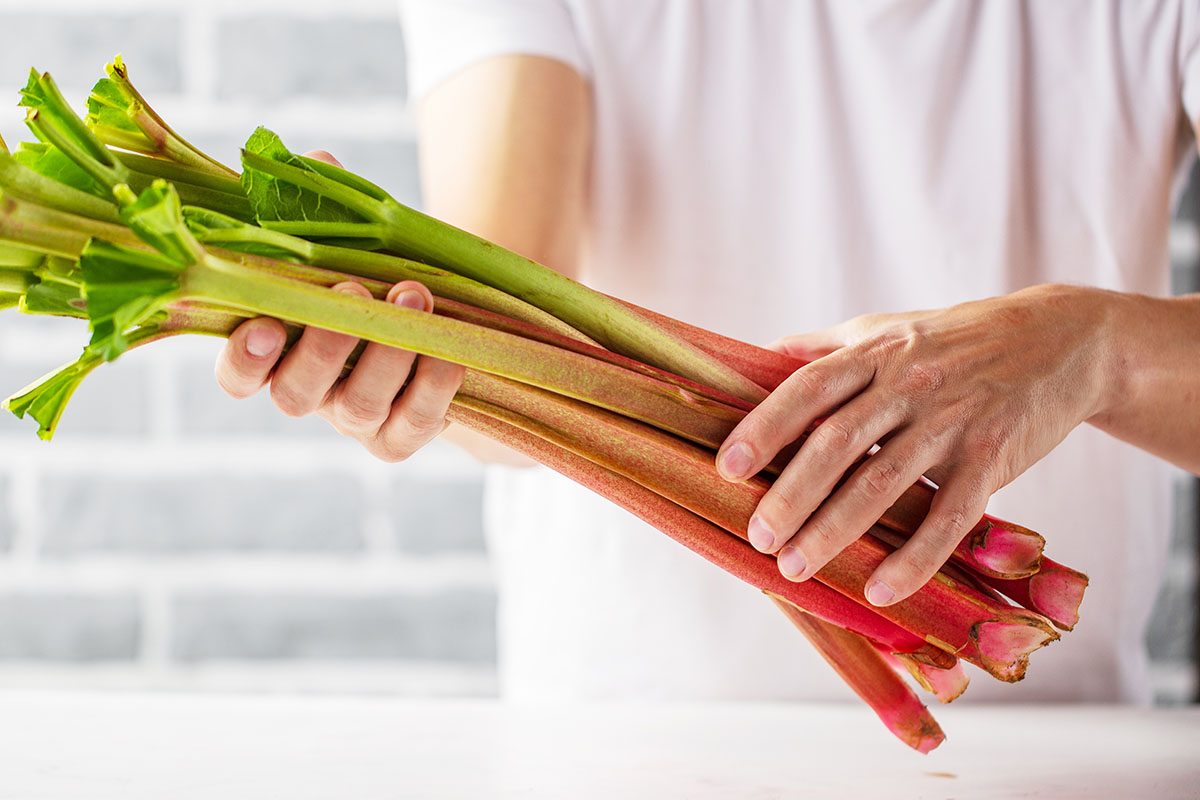 Red vs. Green Rhubarb: How to Choose Rhubarb the Right Way