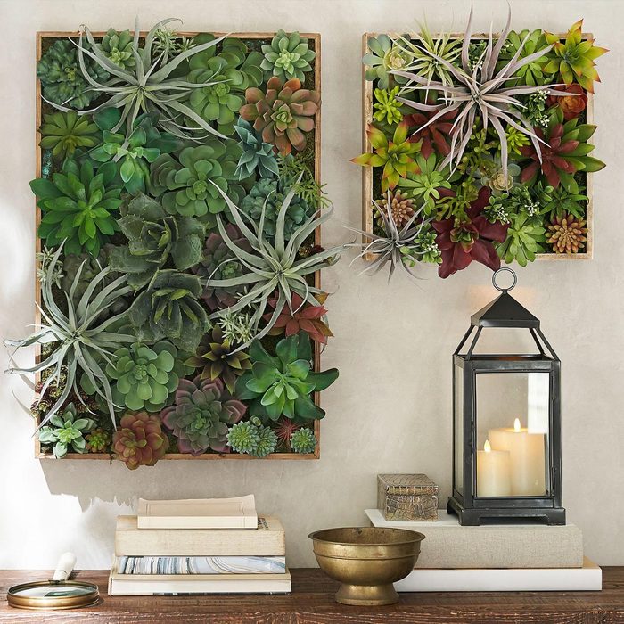 Faux Succulent Wall Art
