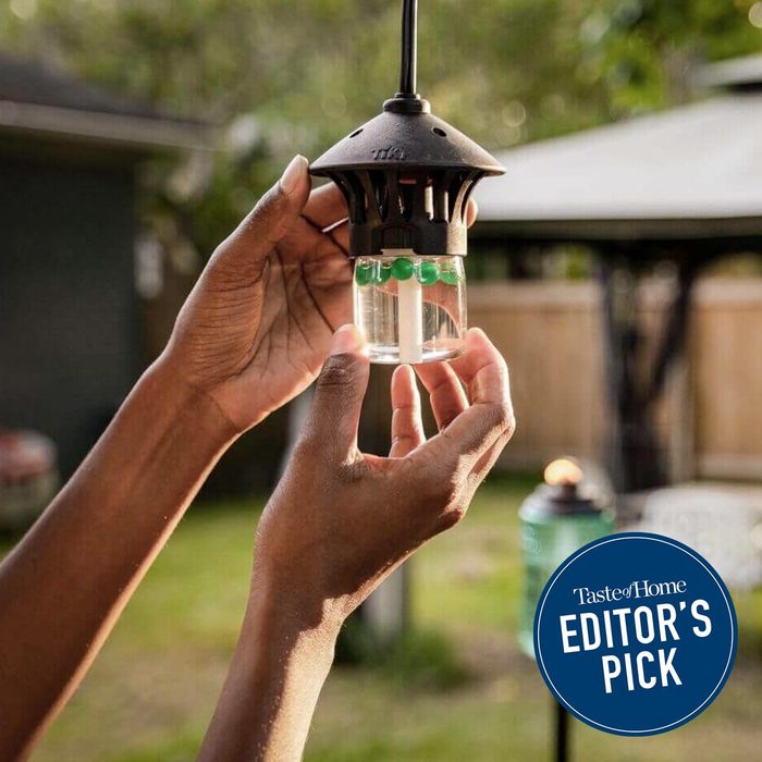 Mosquito Repellent String Lights