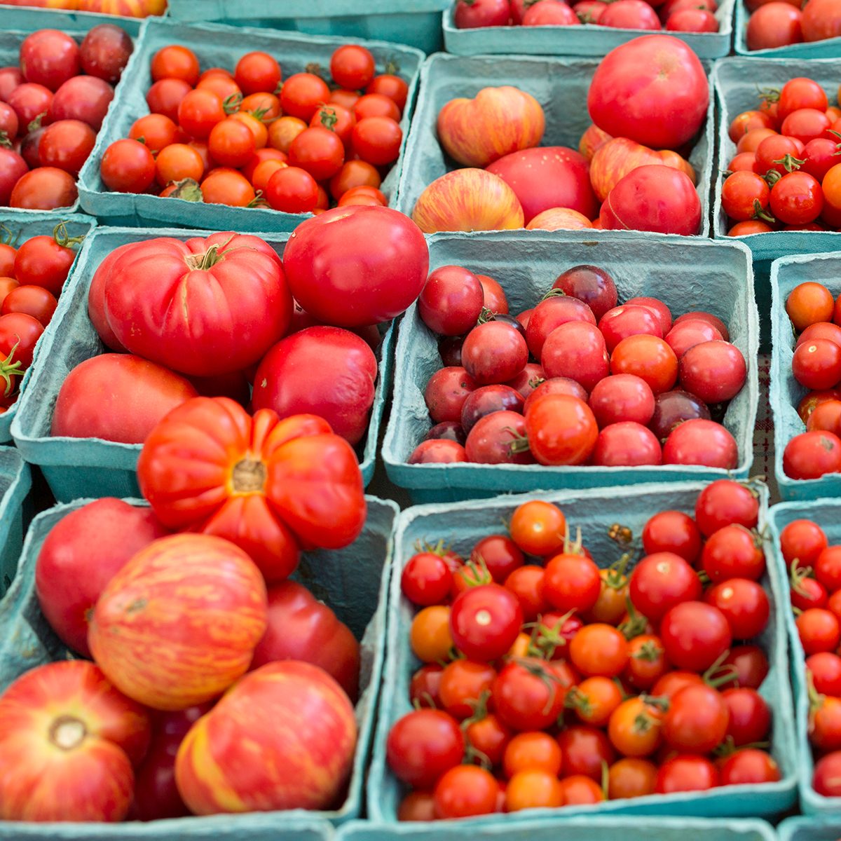 New York City, NY, USA. Farmers market.; Shutterstock ID 1285109050; Job (TFH, TOH, RD, BNB, CWM, CM): TOH