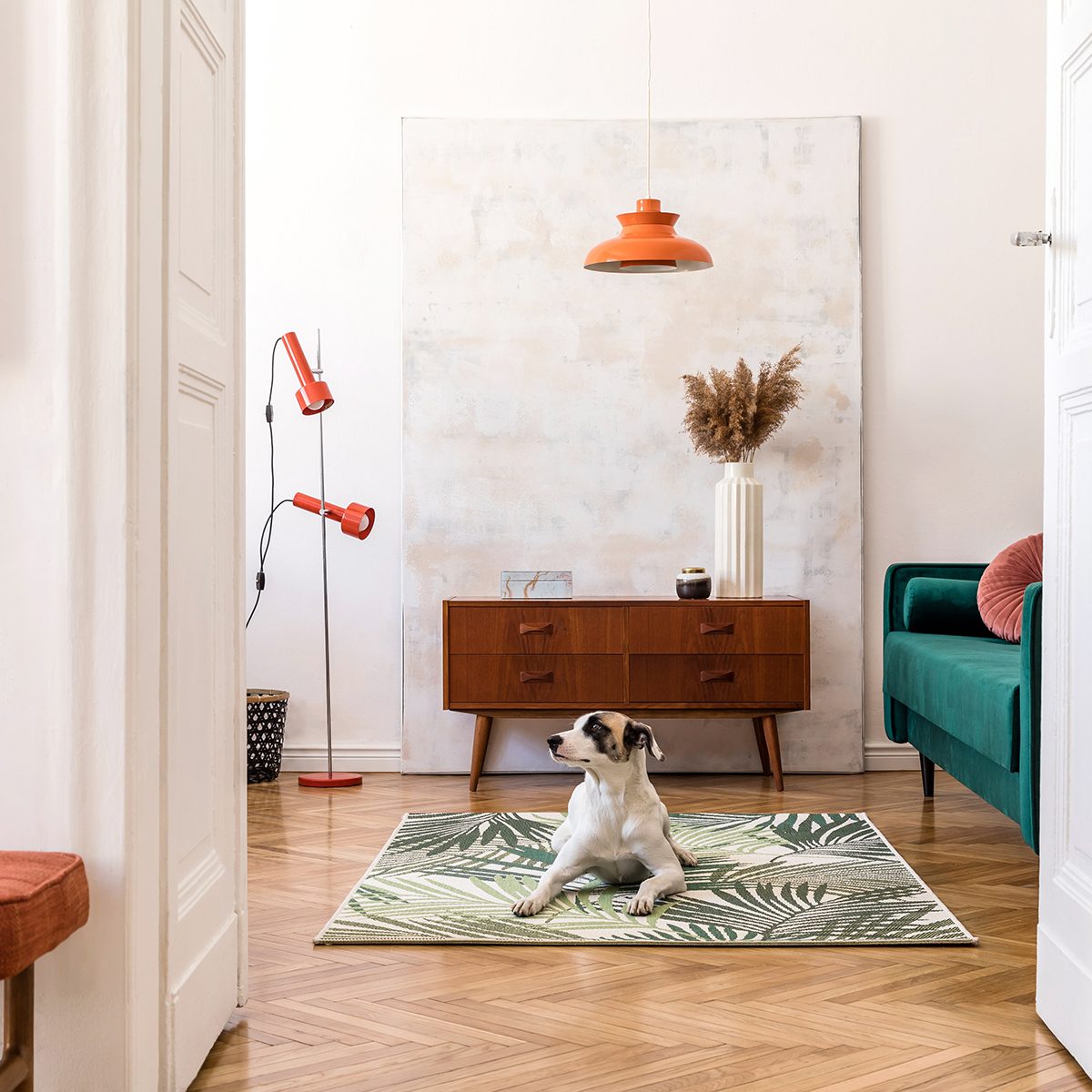 Dog laying down on a rug