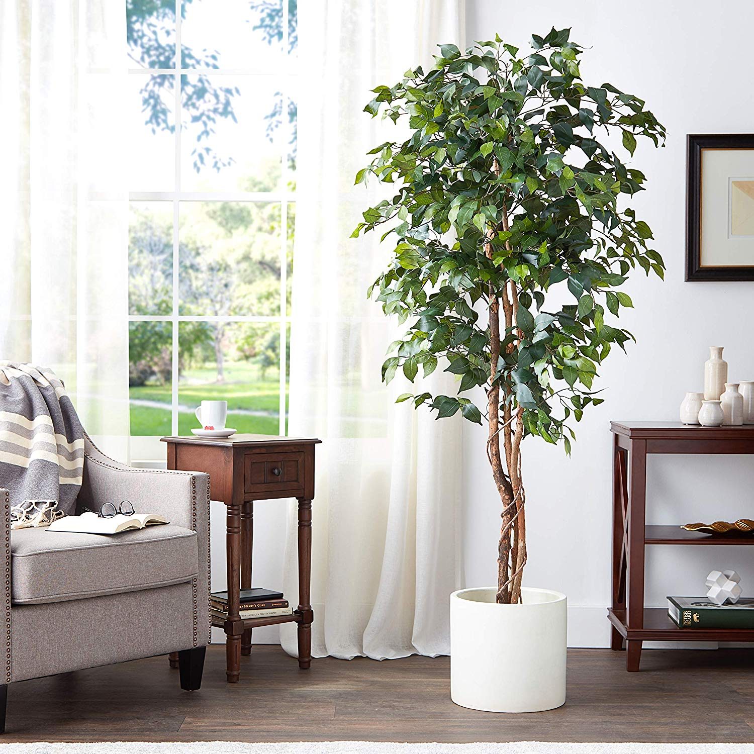 Natural-Looking Ficus Tree