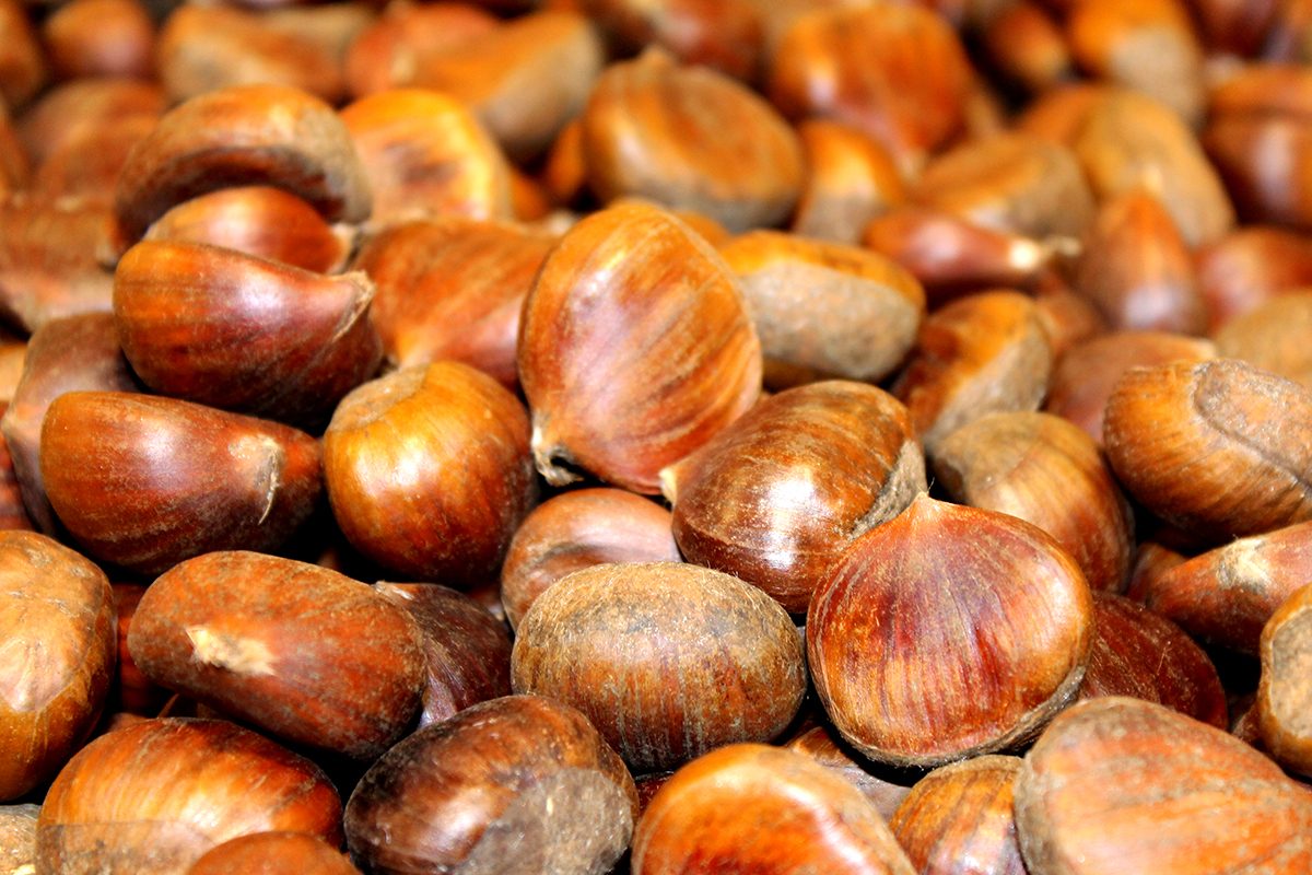 How to Roast Chestnuts