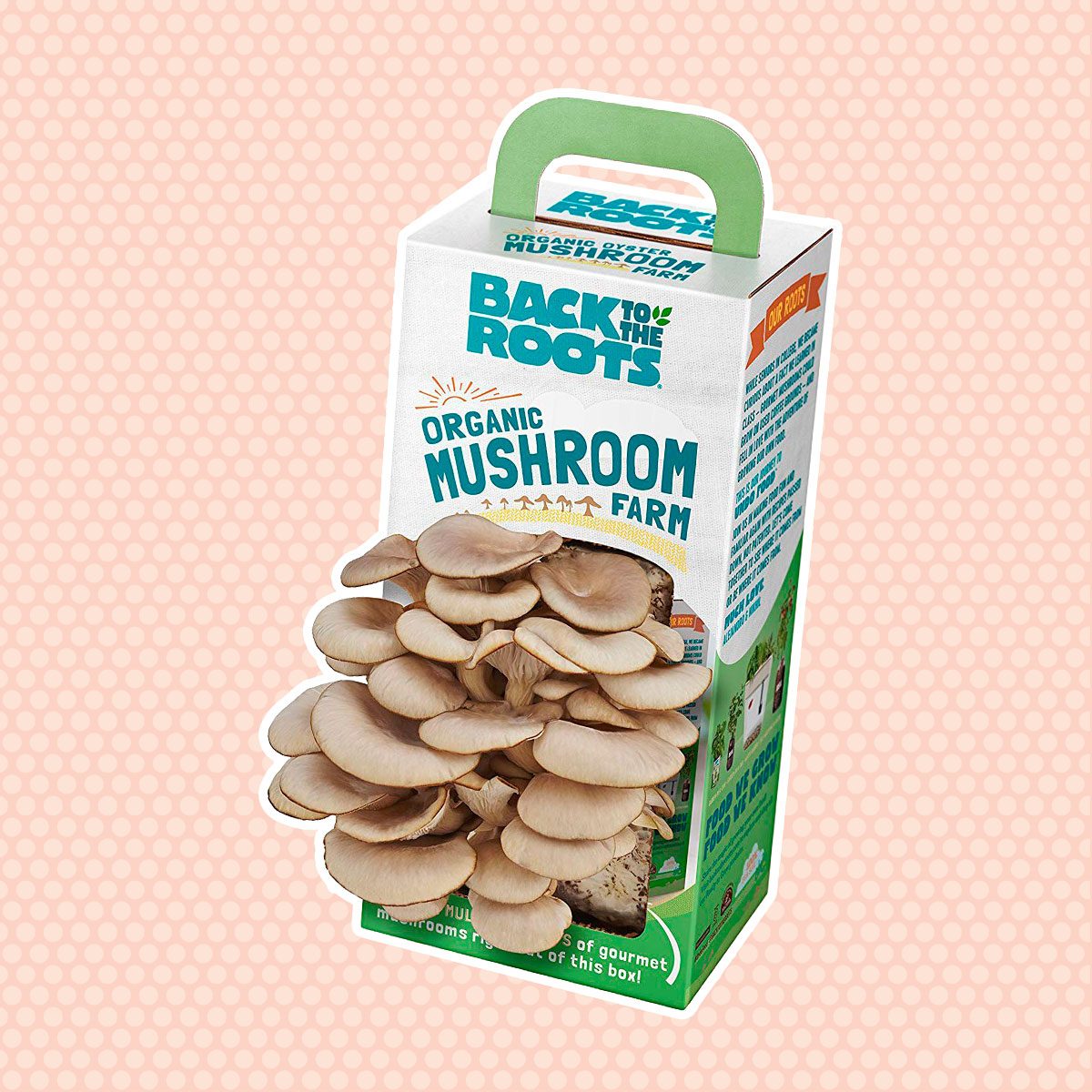 Back to the Roots Organic Mushroom Grow Kit
