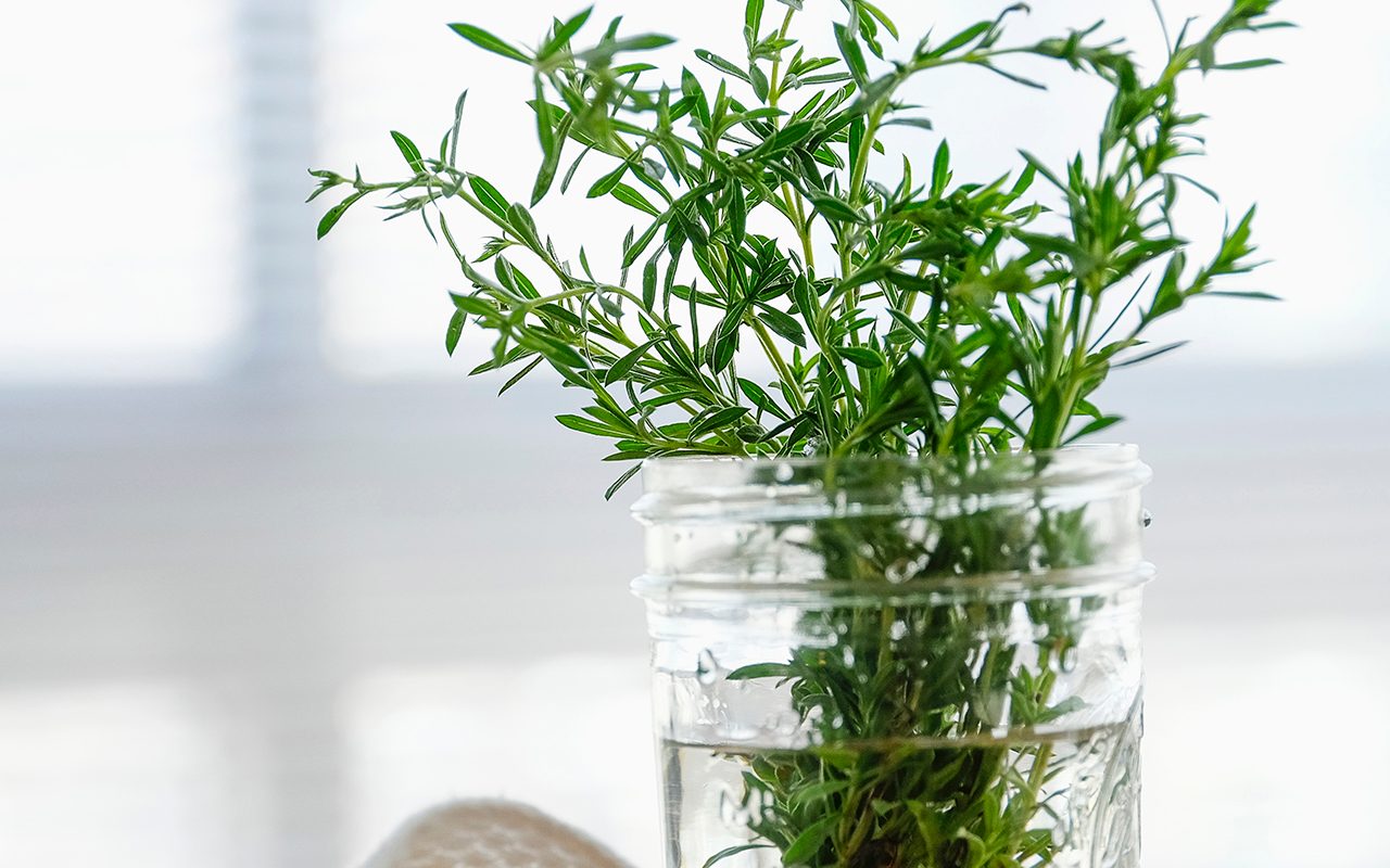 How Long Do Fresh Herbs Last in the Fridge?