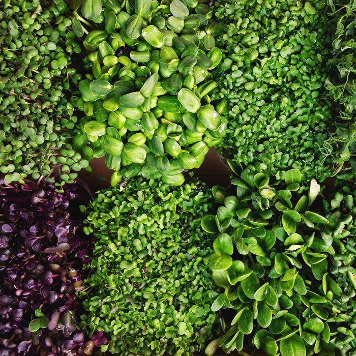 Microgreens