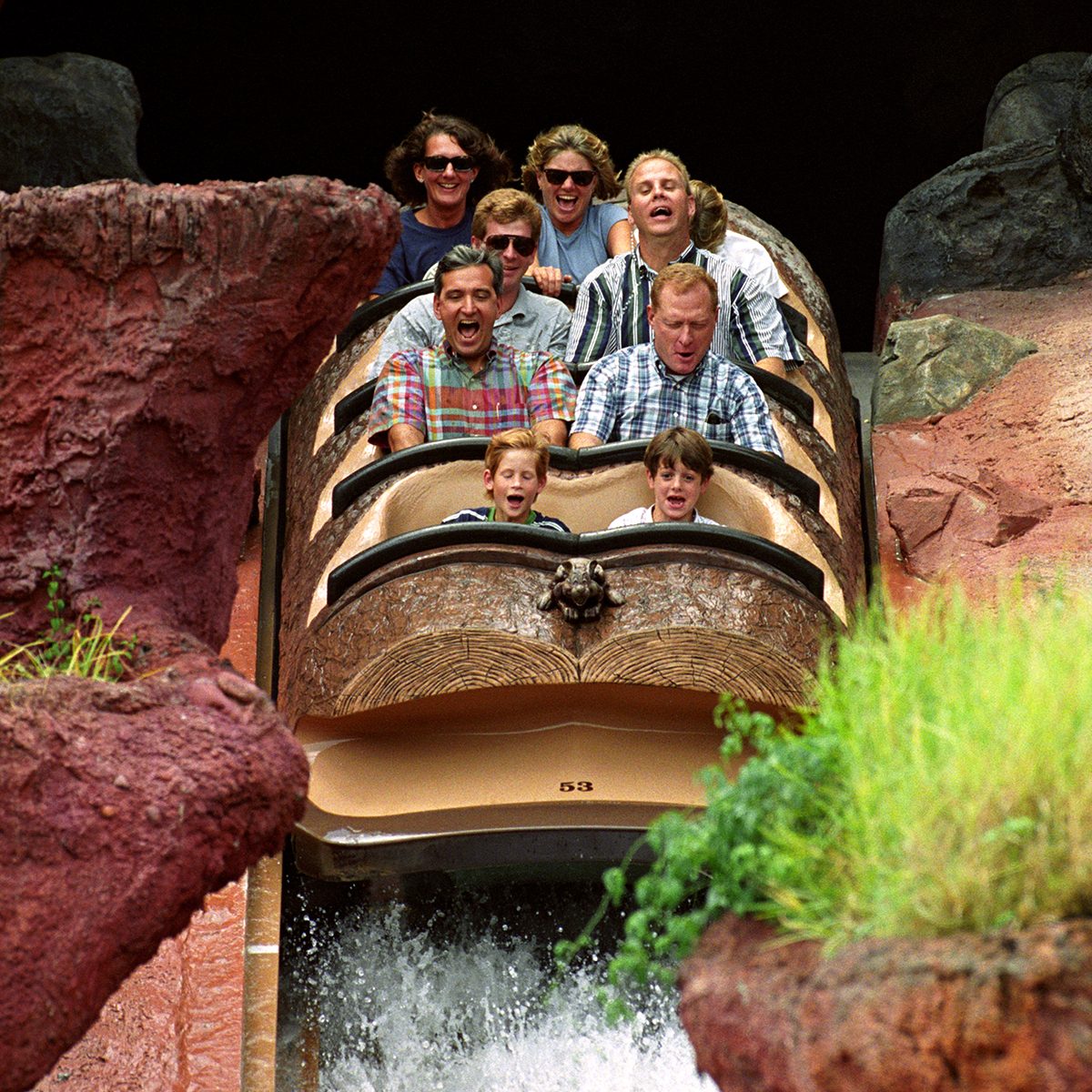 Prince Harry (front left) rides a Log Flume down Splash Mountain at Disney