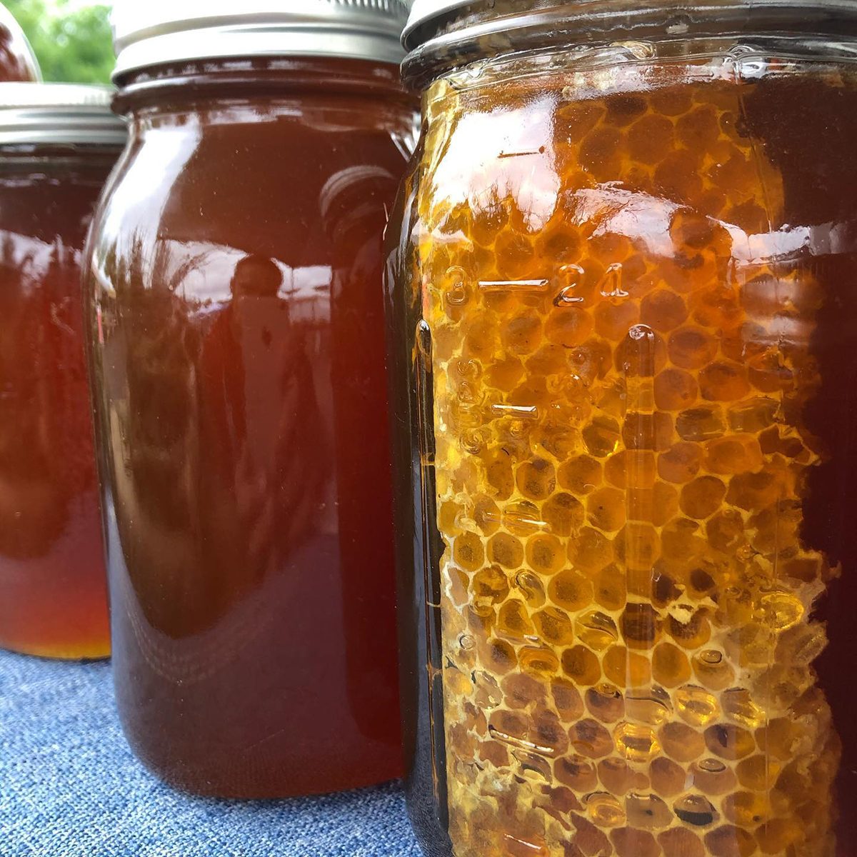 Portland Farmers Market