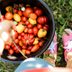 12 Mistakes You're Making with Your Tomato Garden