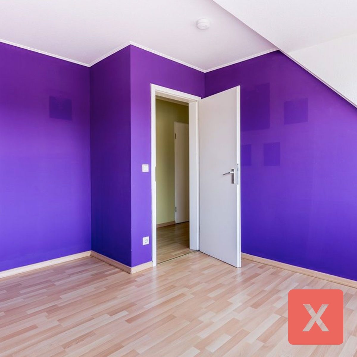 Saturated Purple 868713822