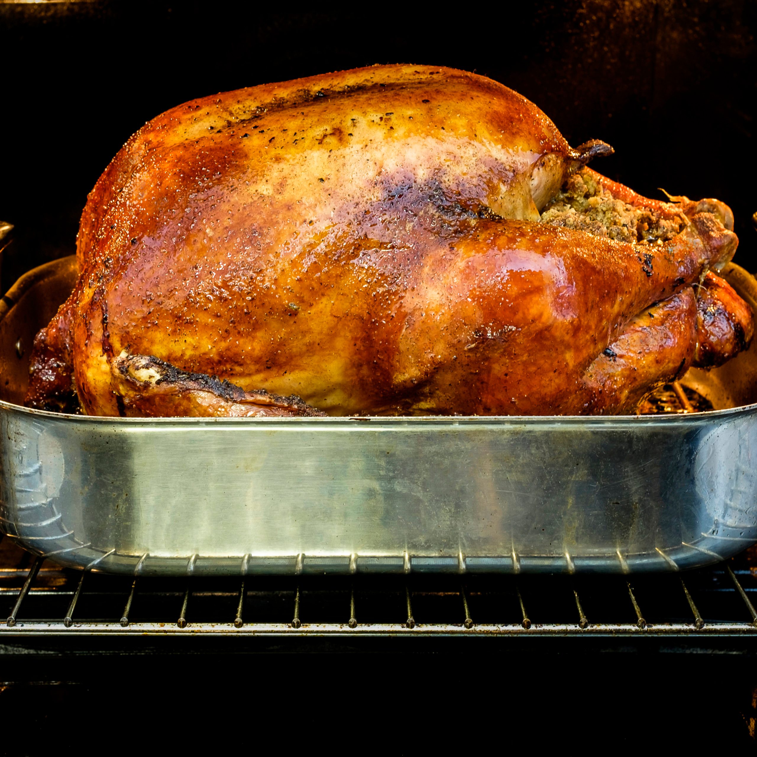 turkey in oven
