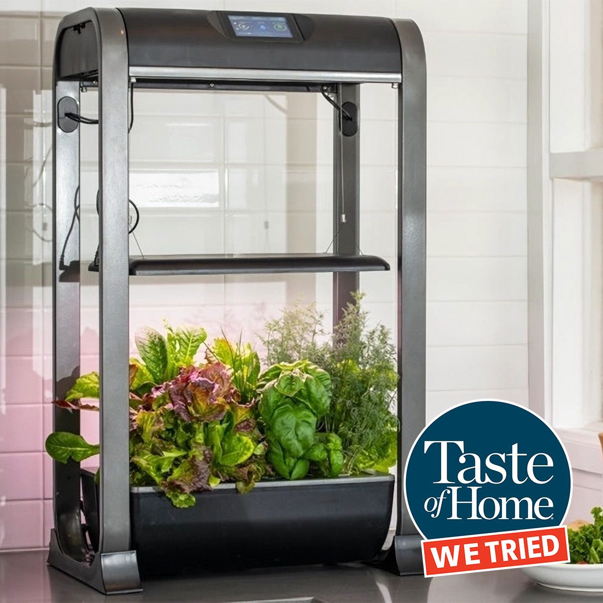 AeroGarden Review: We’re Obsessed with This High-Tech Gadget for Indoor Gardening