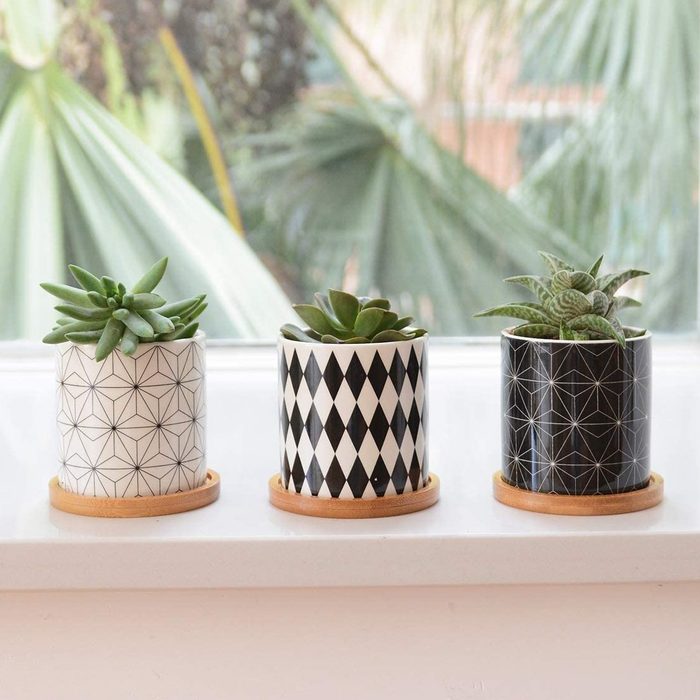 Chic Ceramic Herb Pots