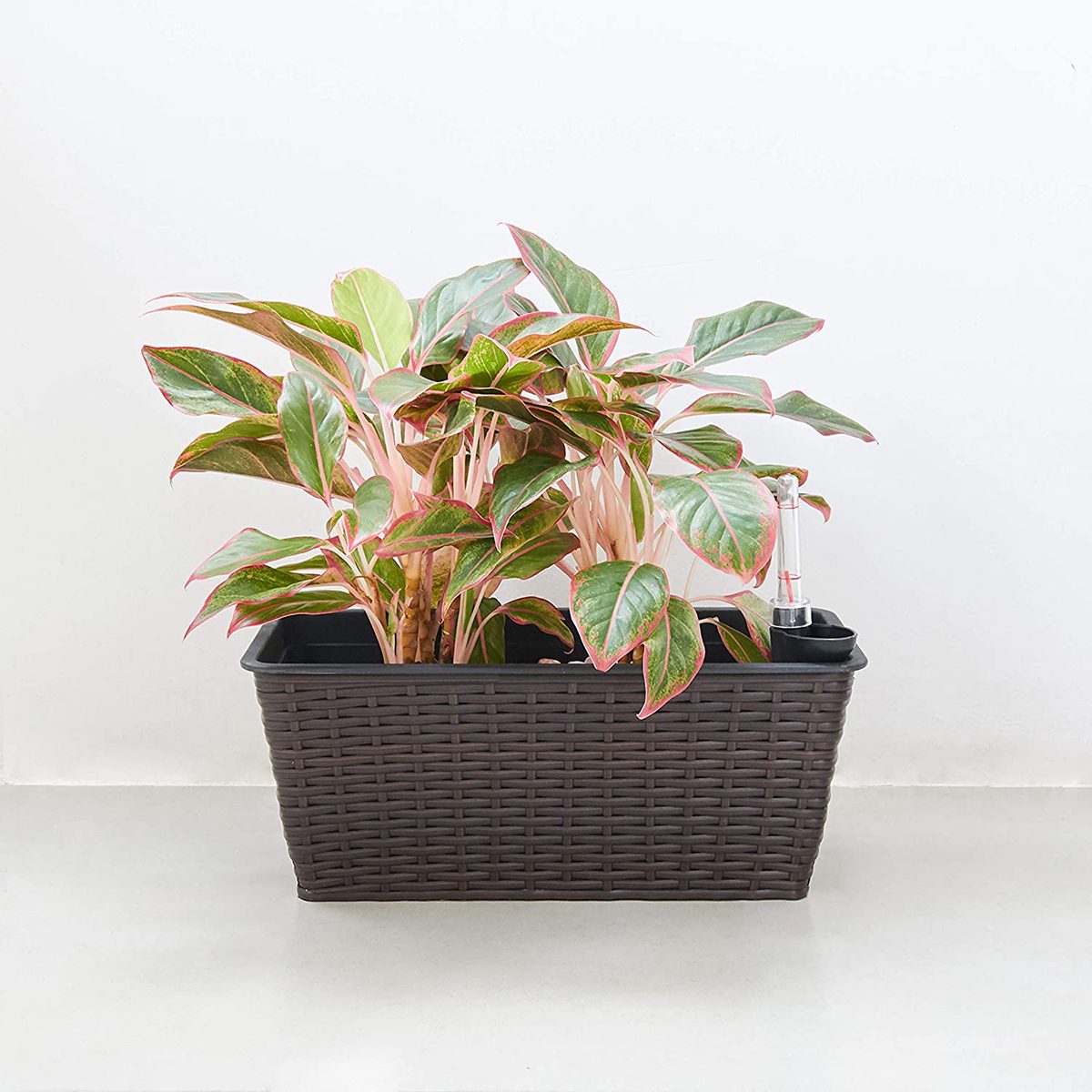 Wicker Self Watering Planter