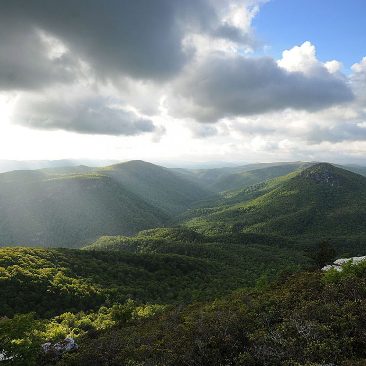 best picnic spot Linville Gorge Wilderness Area