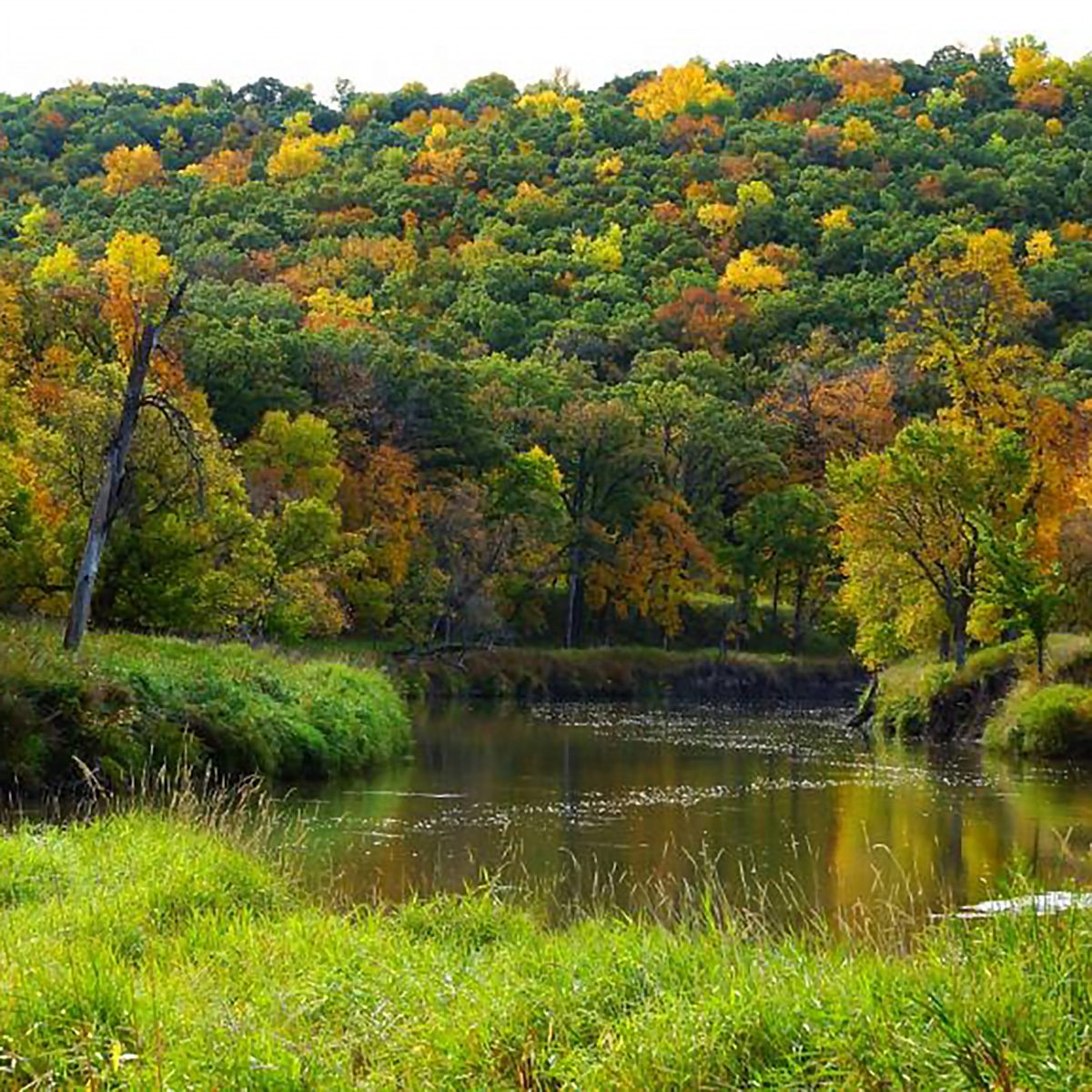 Sheyenne River State Forest North Dakota