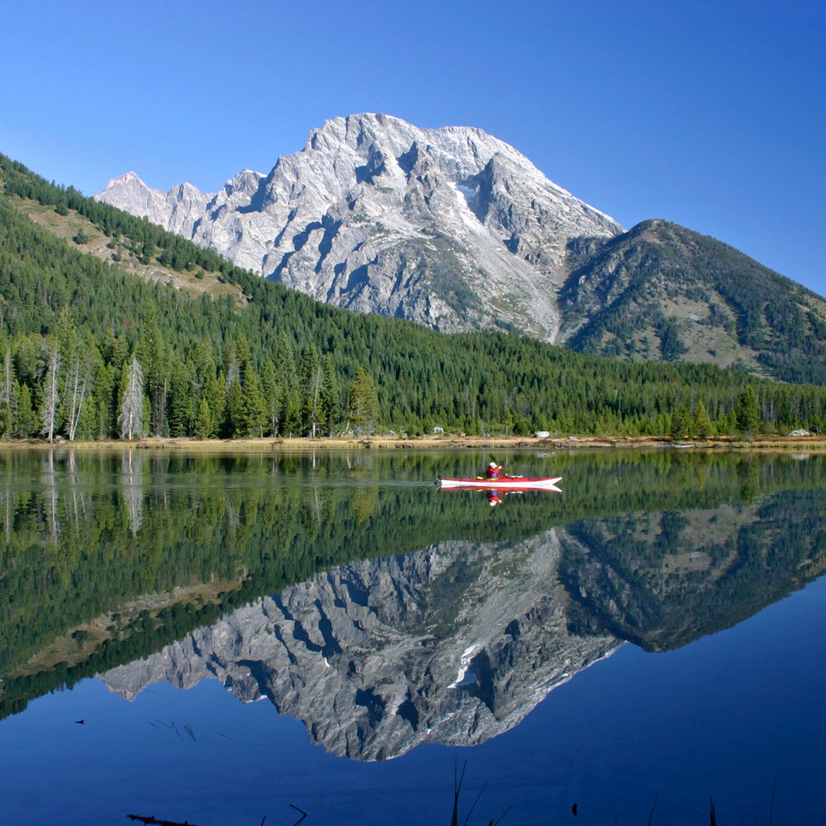 Reflection Of Mt Moran