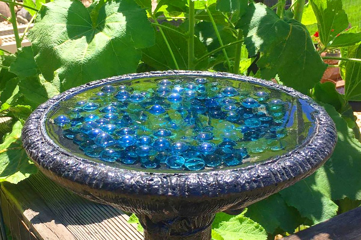 You Can Make a Bee Watering Station with a Bowl of Marbles