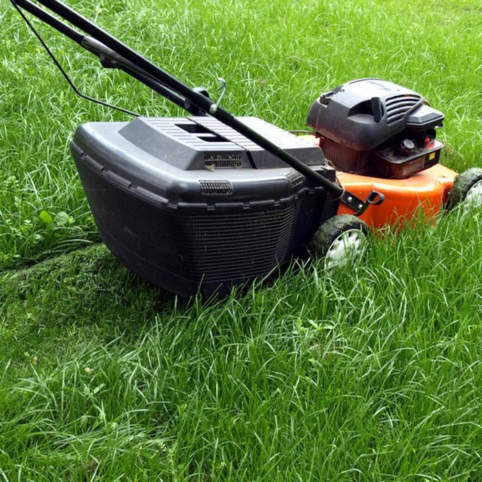 Mower 10