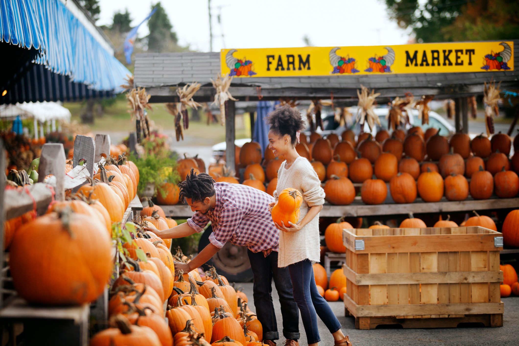 Side view of couple shopping pumpkins at market stall