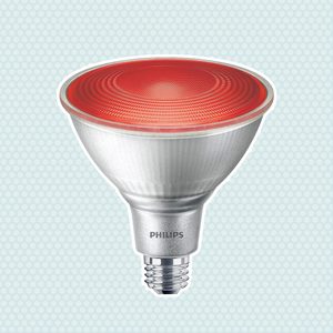 Philips 90 Watt Equivalent Par 38 Led Flood Red