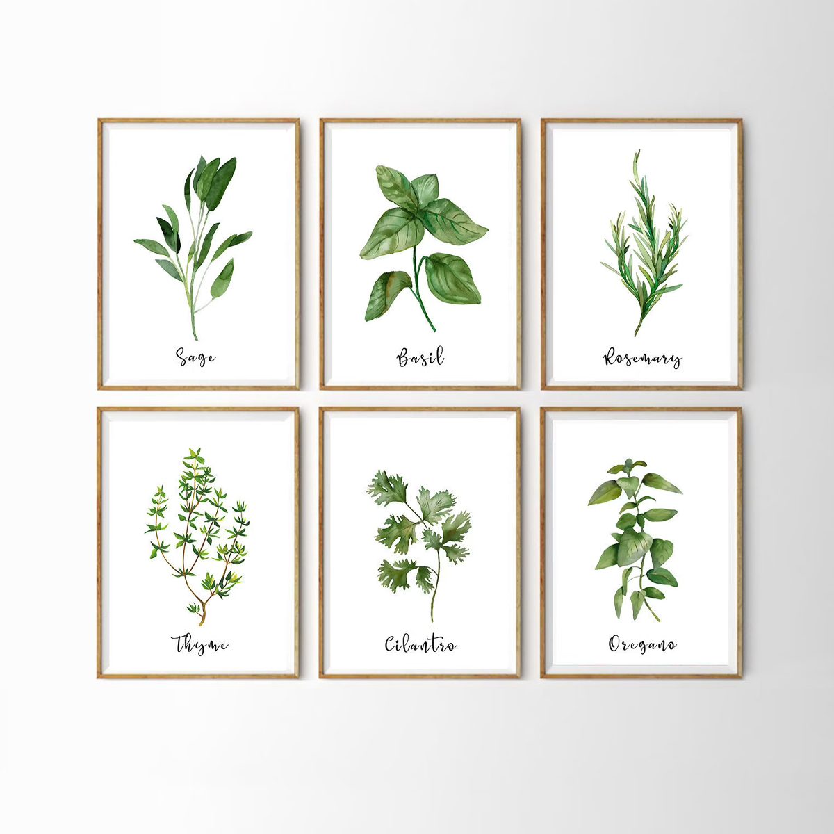 Watercolor Herb Set Wall Signs