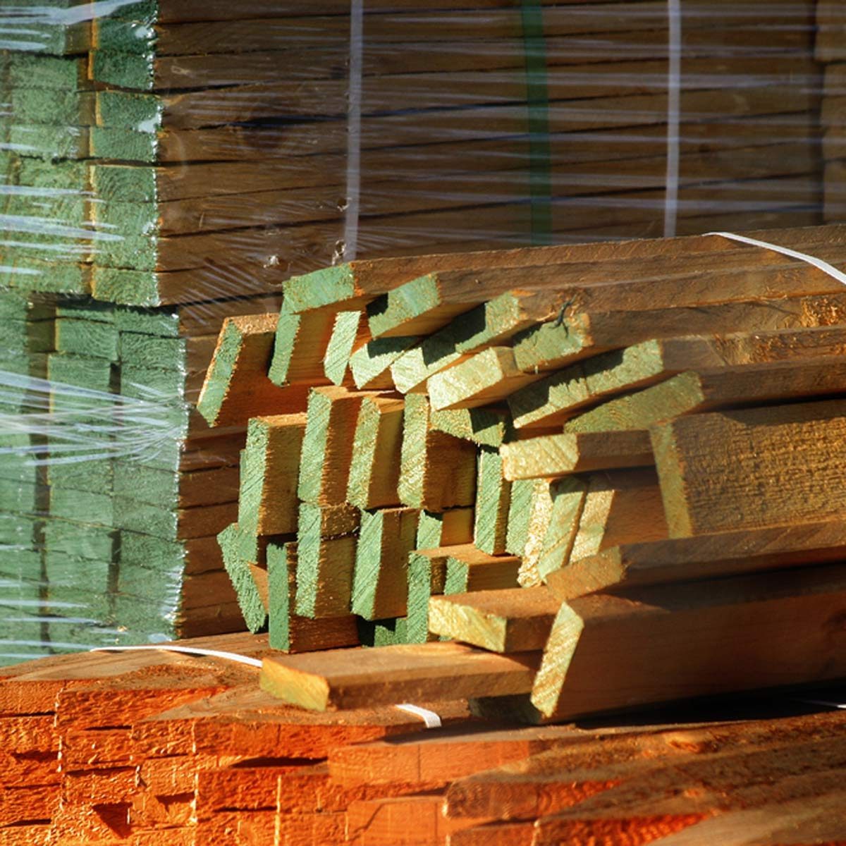 Shutterstock 18610141