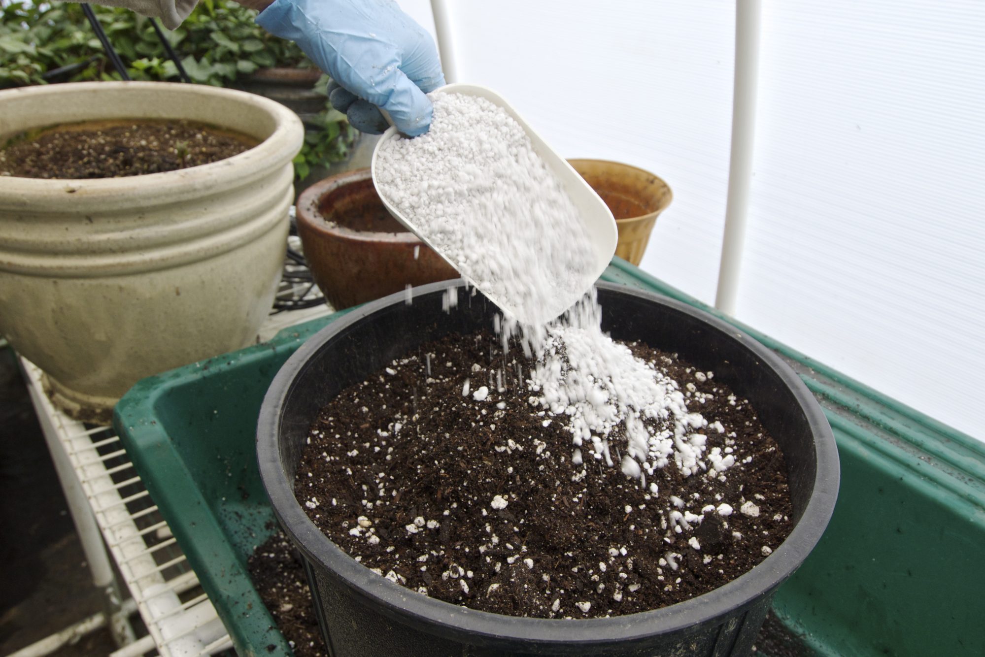 How To Garden with Perlite Potting Soil
